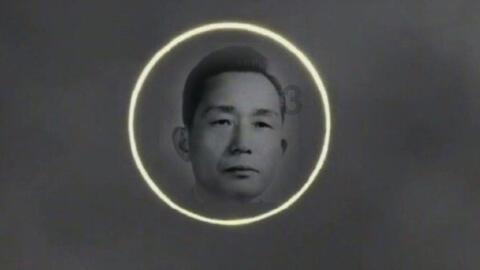 抖音王者三大巨头已钦定！张大仙与梦泪携手，位列抖音全板块前二